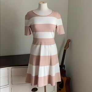 BCBGMaxazria stretch shift dress cream/tan white